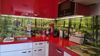 PANORAMA-PERLE IM HEILKLIMATISCHEN KURORT - Etagenwohnung Lenzkirch | Angebot:26918221