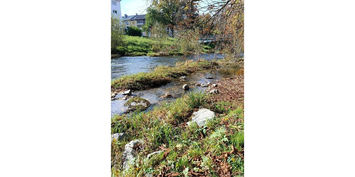 Etagenwohnung Teningen - 1 Zimmer, 20 m&sup2;, 700&euro; | Angebot:24487533