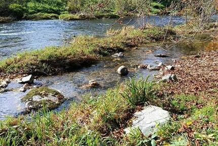 Wohnung Teningen - 1 Zimmer, 20 m&sup2;, 700&euro; | Angebot:24487533