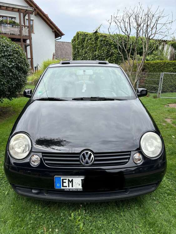 Lupo