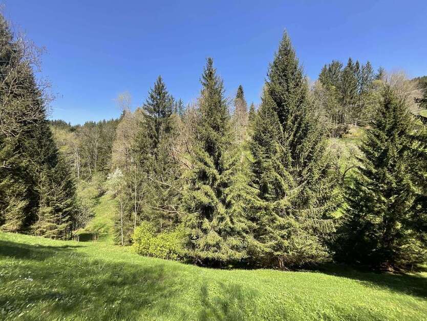 Grundstück in Triberg 195.000 € 160908 m²