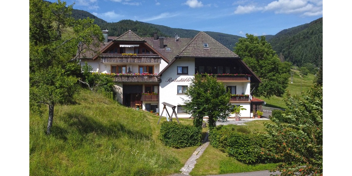 Gewerbeobjekt Simonswald - 2 Zimmer, 1.295.000&euro; | Angebot:19329835