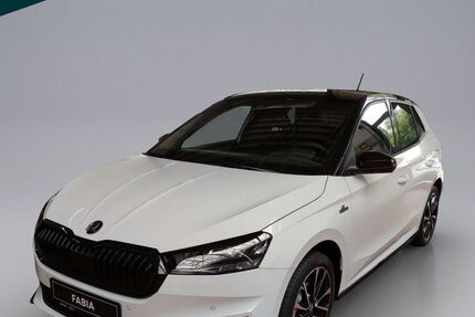 Skoda Fabia 3.000 km 26.890 &euro; Emmendingen 79312