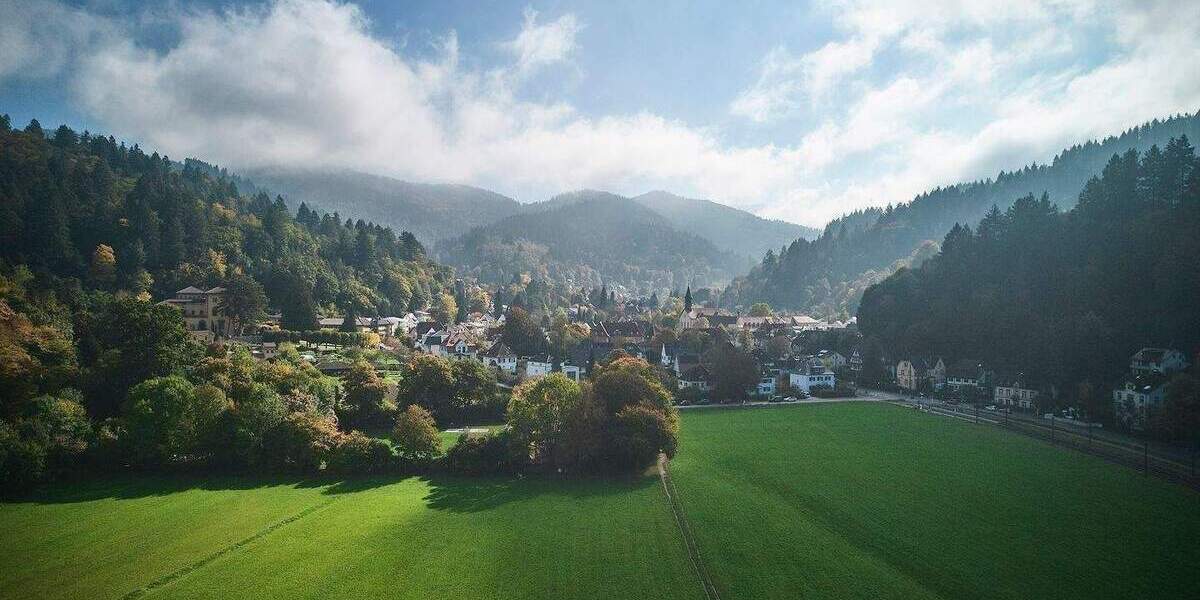 Mehrfamilienhaus, Wohnhaus Freiburg im Breisgau Günterstal - 1 Zimmer, 405 m&sup2;, 2.120.000&euro; | Angebot:24916208