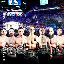 We Love MMA 80 - Mixed Martial Arts