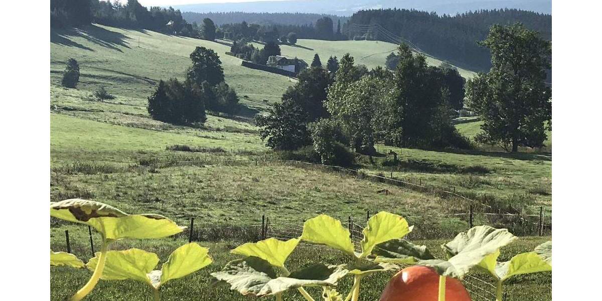 Einfamilienhaus Lenzkirch Saig - 9 Zimmer, 208 m&sup2;, 700.000&euro; | Angebot:25835773