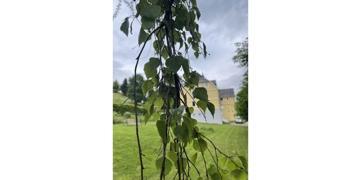 Hotel mit Tennisplatz Nähe Titisee - Gewerbeobjekt Falkau Falkau | Angebot:19801371