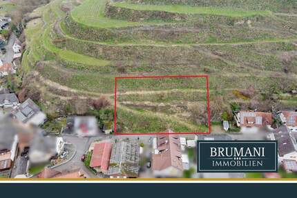 Grundstück Vogtsburg Oberbergen - 347.000&euro; | Angebot:25667966