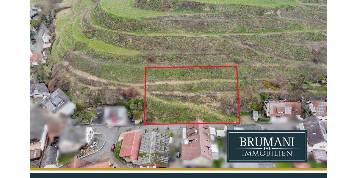 Grundstück Vogtsburg Oberbergen - 347.000&euro; | Angebot:25667966
